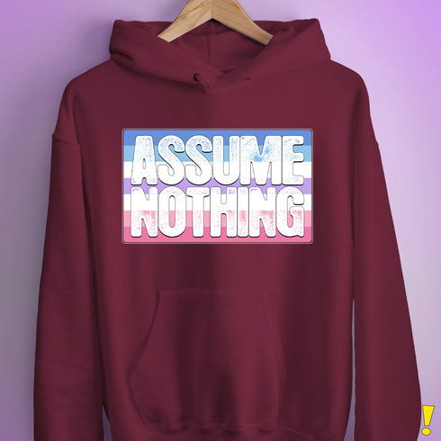 Assume Nothing Bigender Pride Flag Hoodie - Maroon